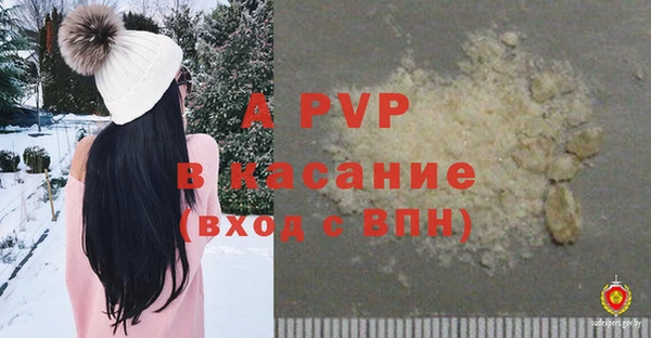 СК Аркадак
