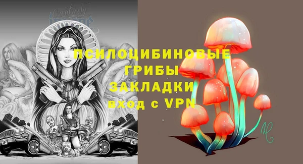 амф Балахна